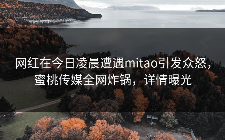 网红在今日凌晨遭遇mitao引发众怒，蜜桃传媒全网炸锅，详情曝光