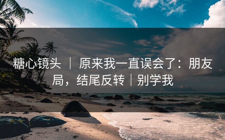 糖心镜头 ｜ 原来我一直误会了：朋友局，结尾反转｜别学我